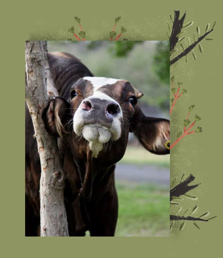 Chabela en la vida real