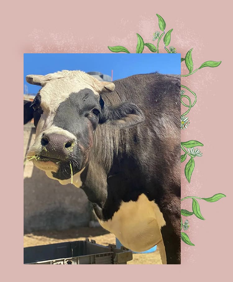 Clarita en la vida real