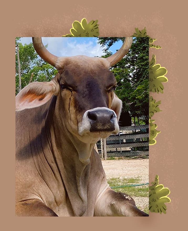 Clarita en la vida real