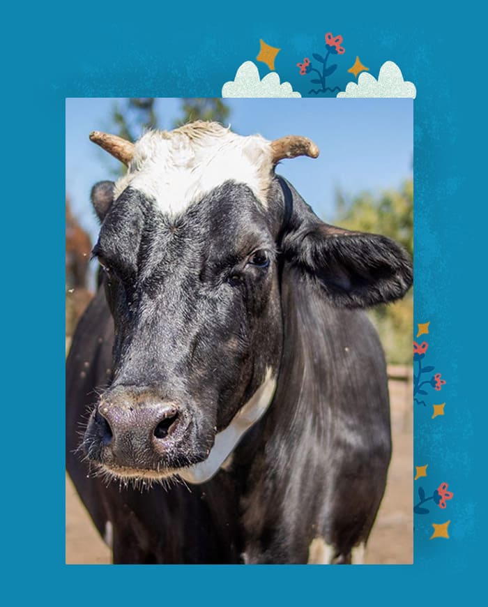 Esperanza en la vida real