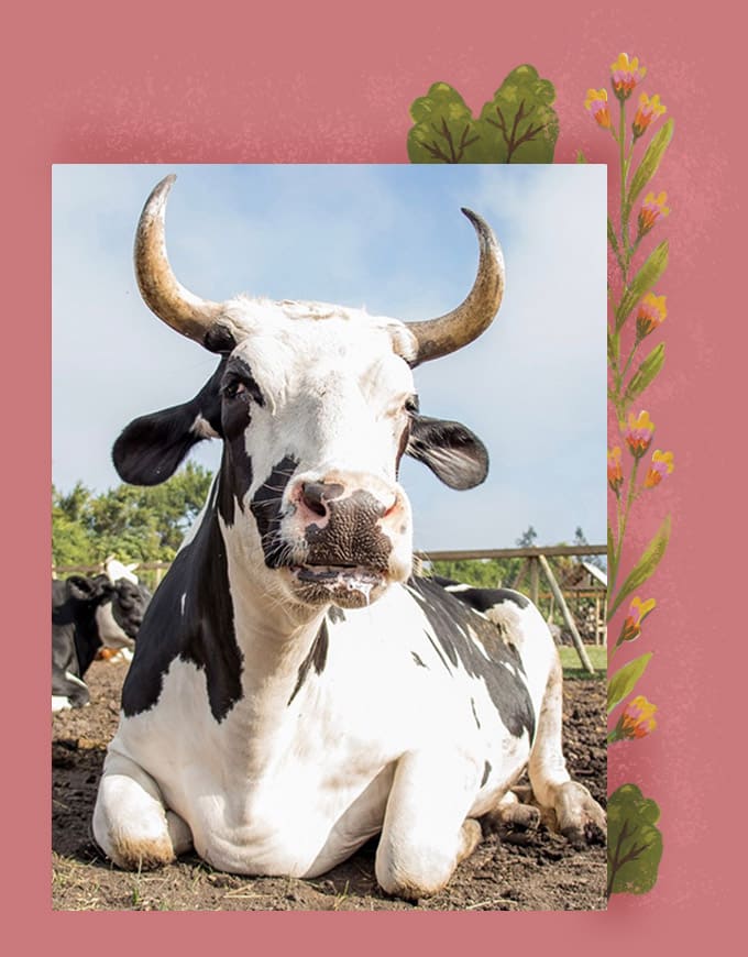 Salvador en la vida real