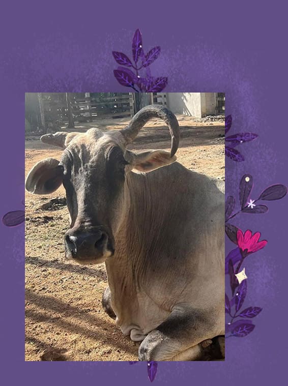 Valentina en la vida real